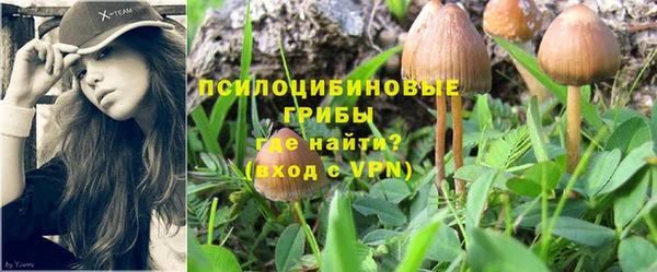 меф Алексин