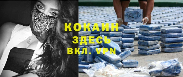 сатива Билибино