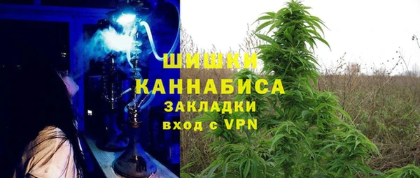 ешки Алзамай