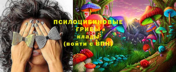 ешки Алзамай