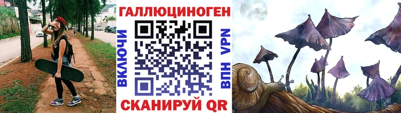 Псилоцибиновые грибы Psilocybe Полысаево
